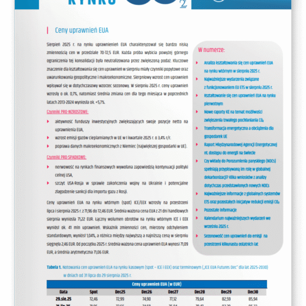 Raport z rynku CO2