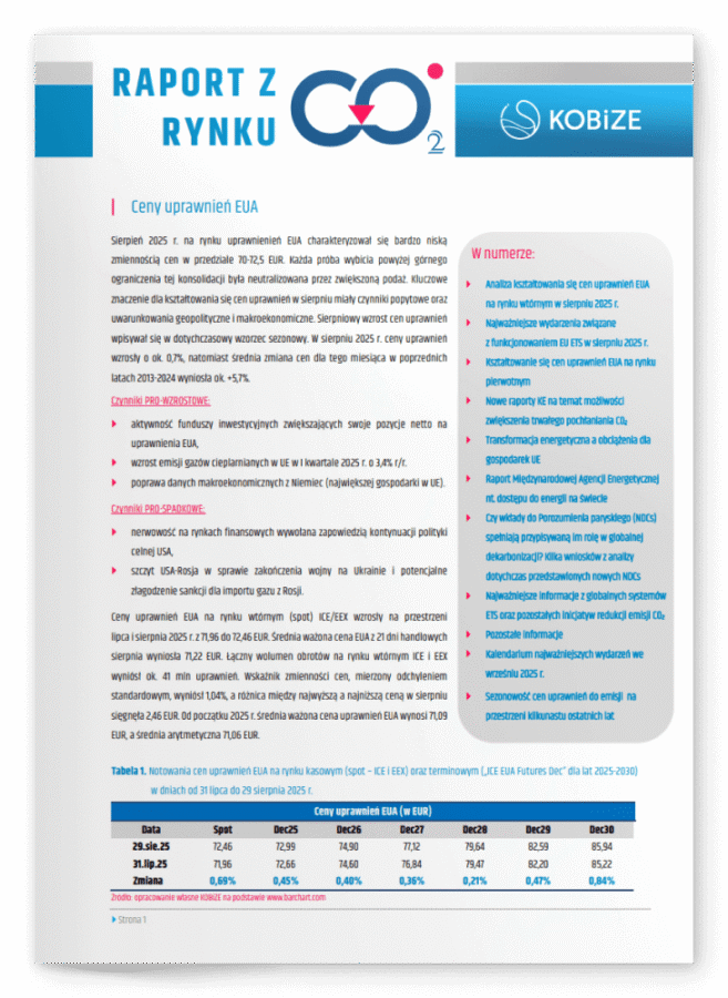 Raport z rynku CO2