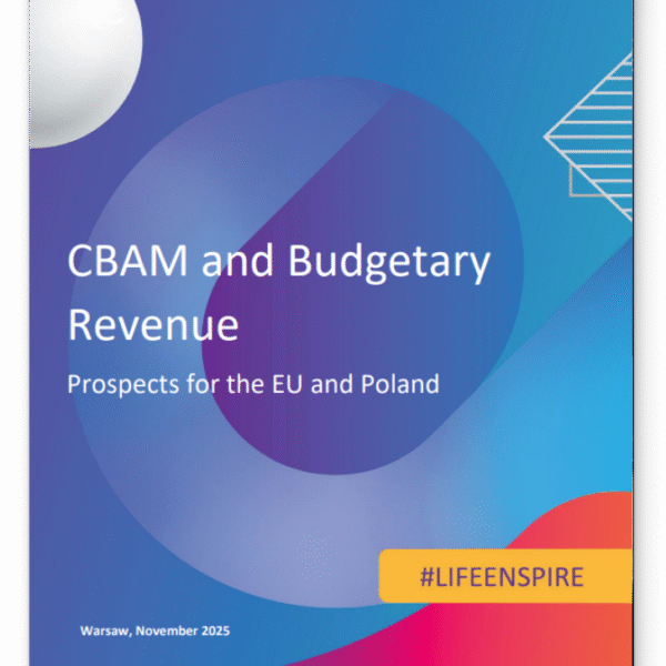 CBAM and Budgetary Revenue