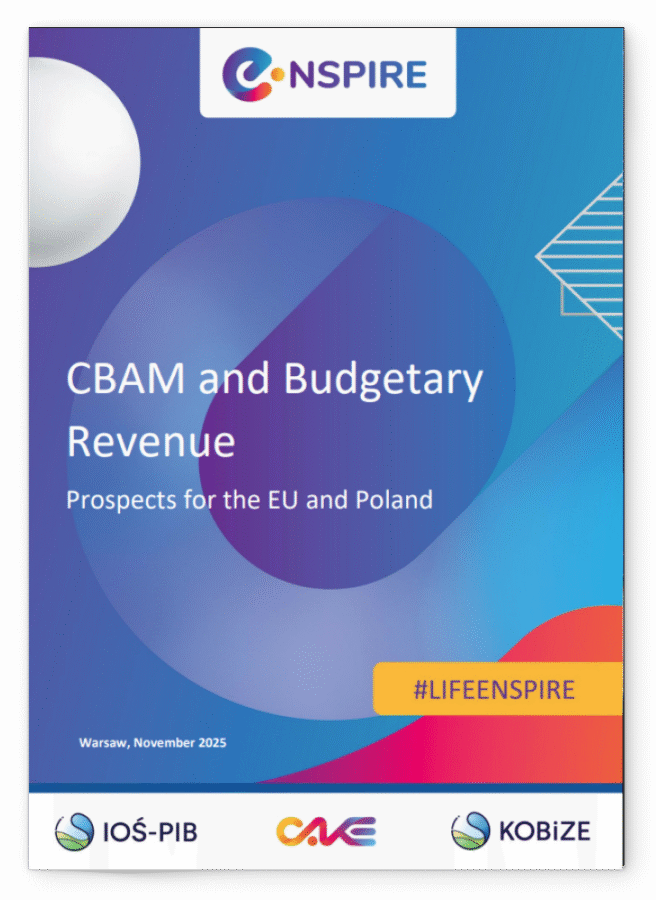 CBAM and Budgetary Revenue
