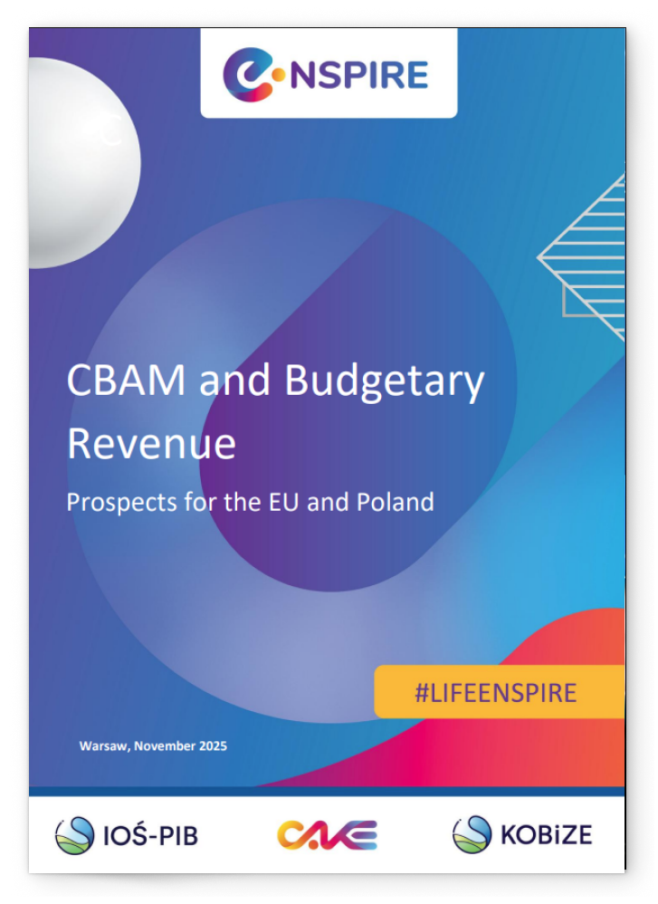 CBAM and Budgetary Revenue