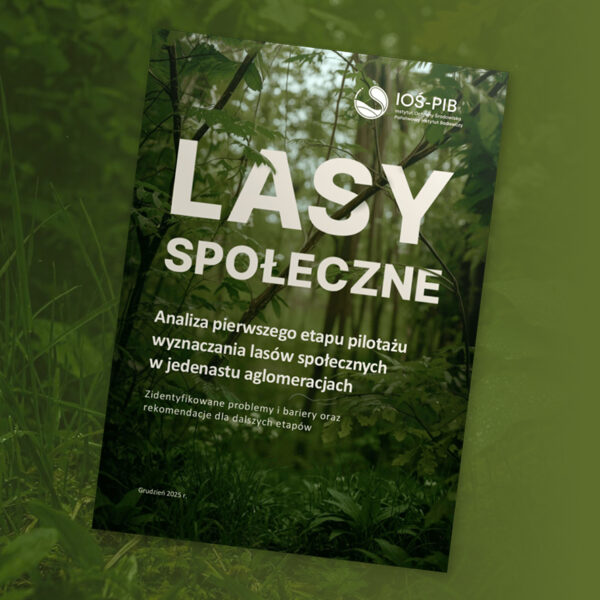 zdjęcie okładki raportu