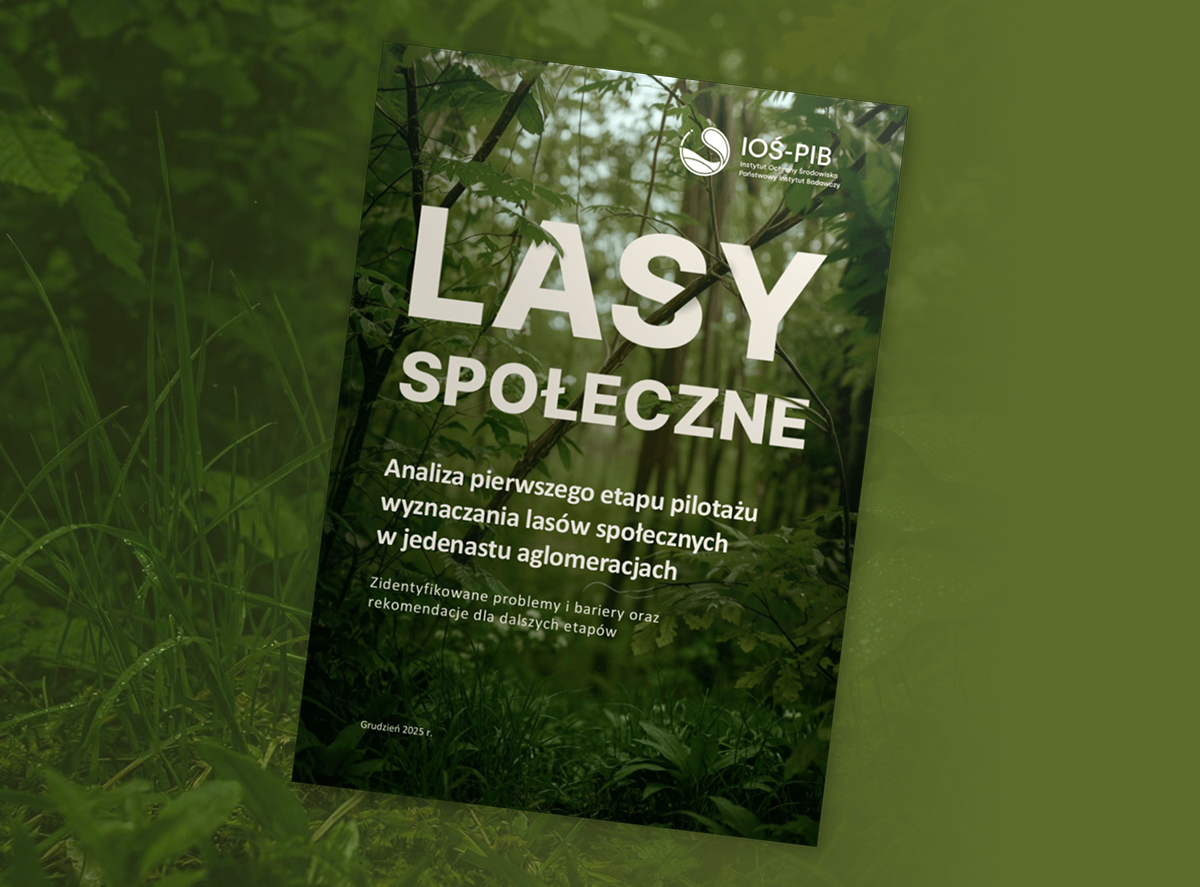 zdjęcie okładki raportu