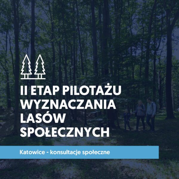 Grafika: II etap pilotażu wyznaczania lasów społecznych – Katowice, konsultacje społeczne
