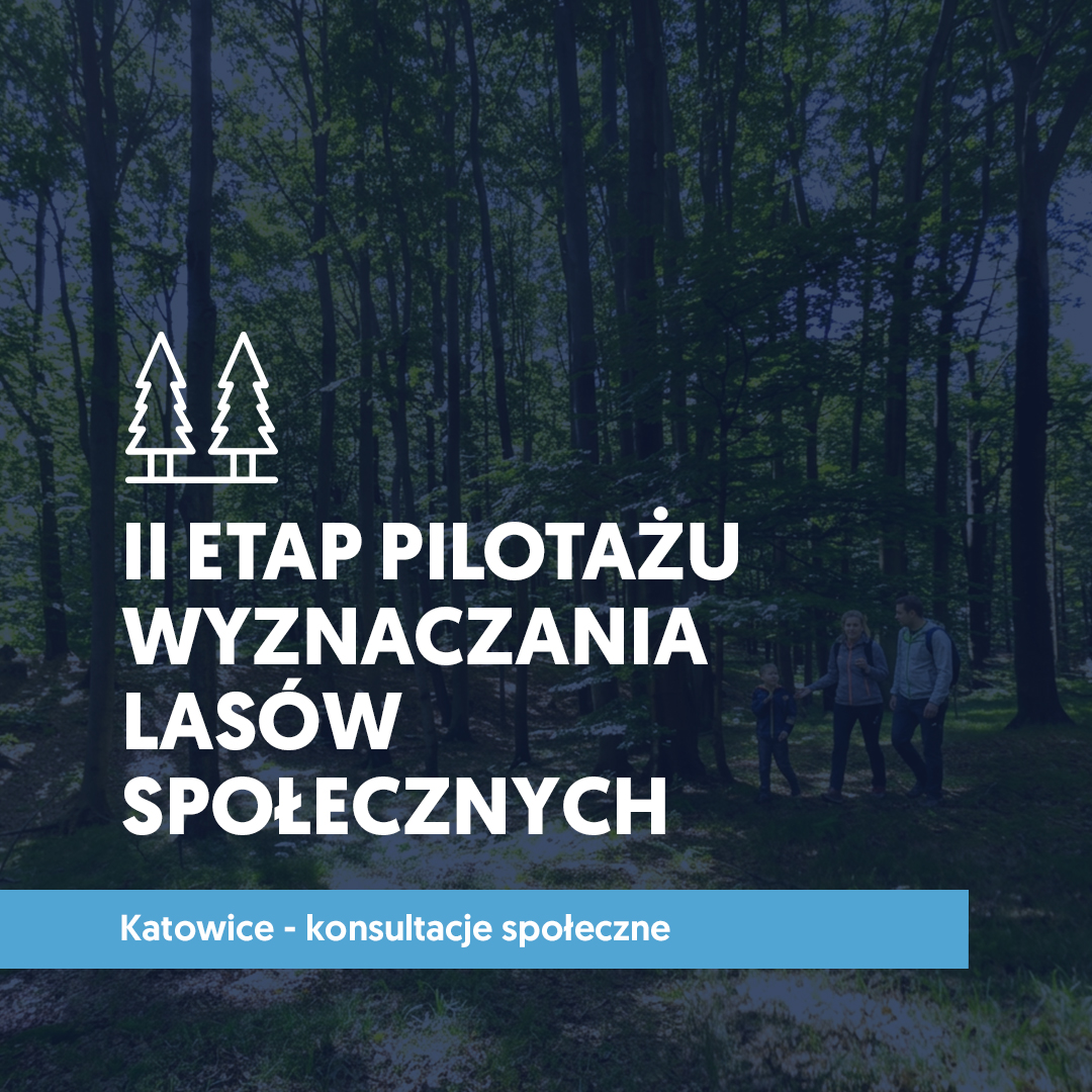 Grafika: II etap pilotażu wyznaczania lasów społecznych – Katowice, konsultacje społeczne