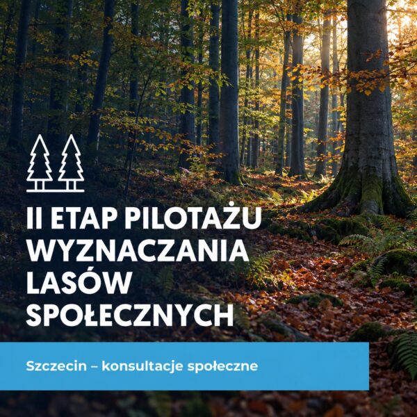 Grafika: II etap pilotażu wyznaczania lasów społecznych – Szczecin, konsultacje